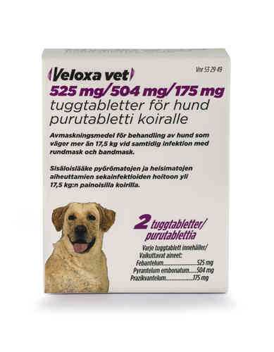 VELOXA vet 525/504/175 mg matolääke koirille purutabletti