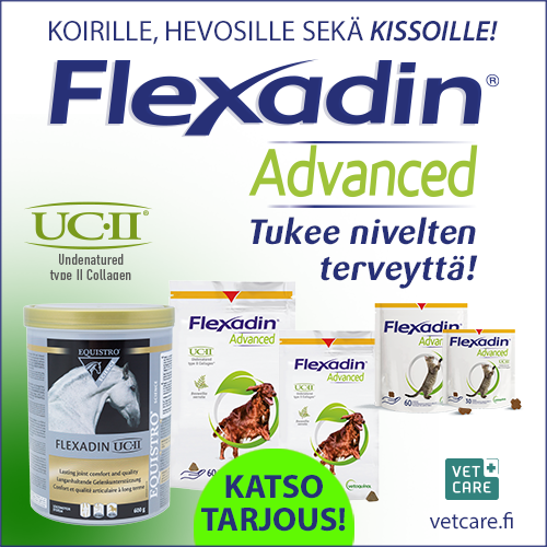Flexadin-tarjous